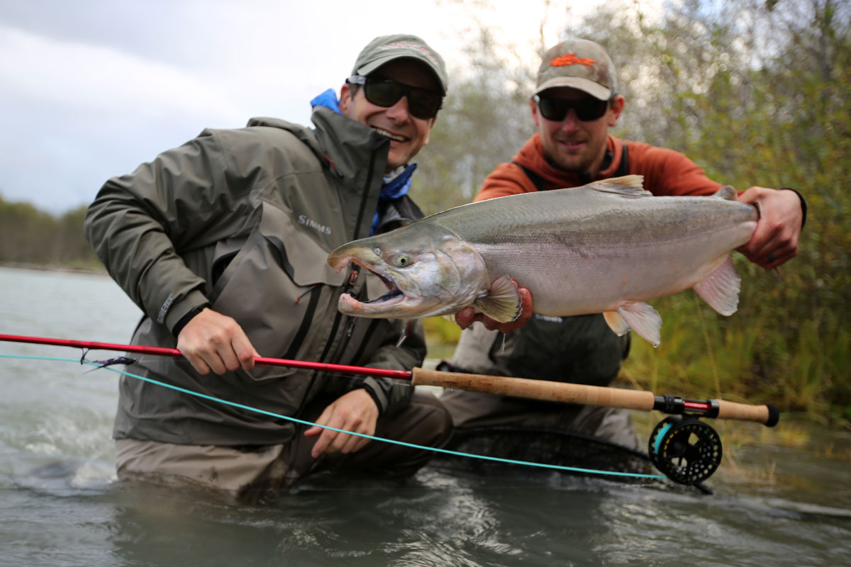 Skeena River Fly Fishing - Coho Salmon