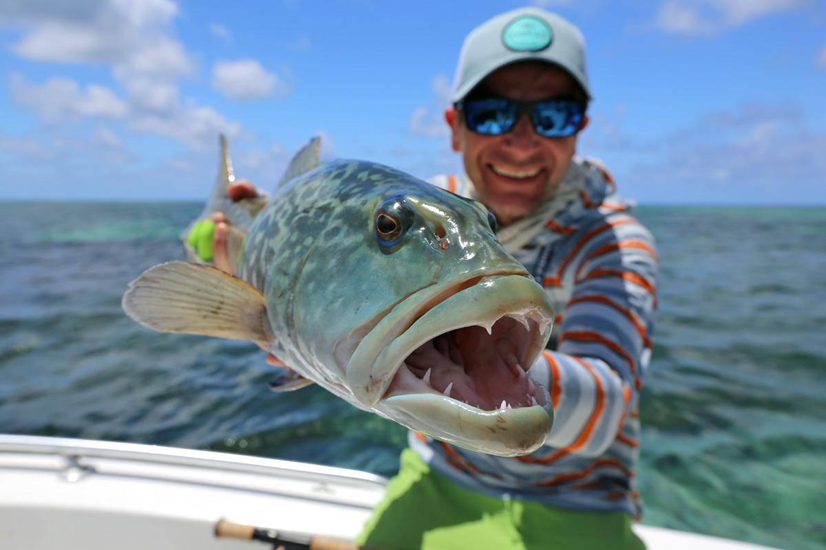Farquhar Atoll African Marble Grouper