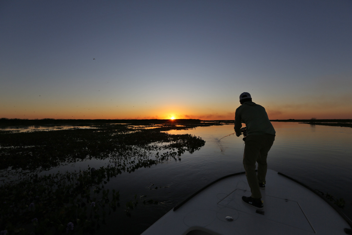Pira Lodge Golden Dorado Fishing