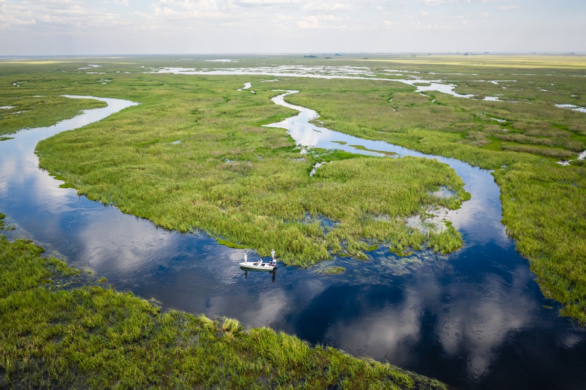 Pira Lodge Golden Dorado Fishing Marshland