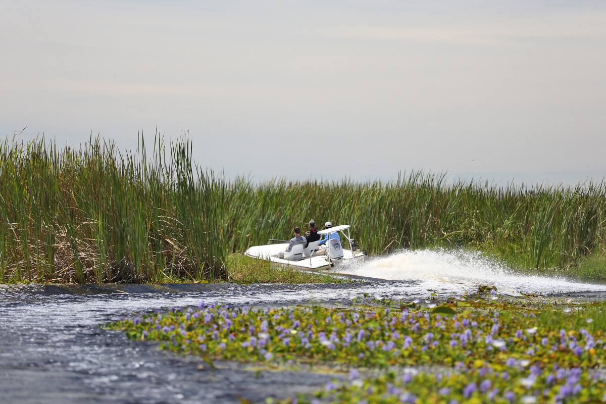 Pira Lodge Golden Dorado Fishing Skiff