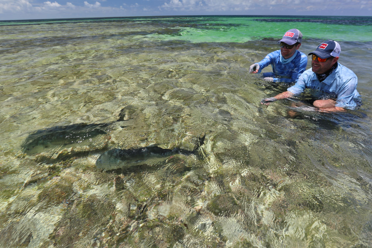 Providence Atoll Giant Trevally Double Release