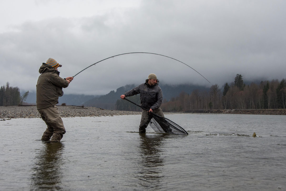 Skeena River Fly Fishing - Steelhead