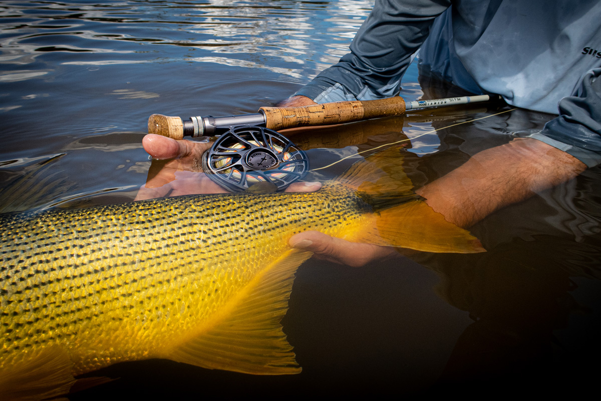 Suinda Lodge Golden Dorado Fishing Suinda Lodge Golden Dorado Fishing