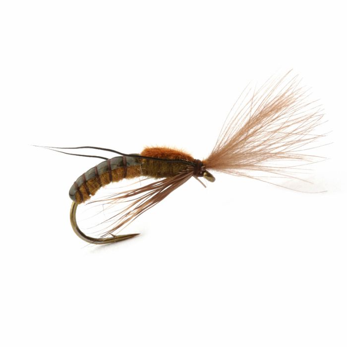 1 dozen flies Elk Hair Caddis Olive Fly Fishing Flies 1 dozen flies Elk Hair Caddis Olive Fly Fishing Flies