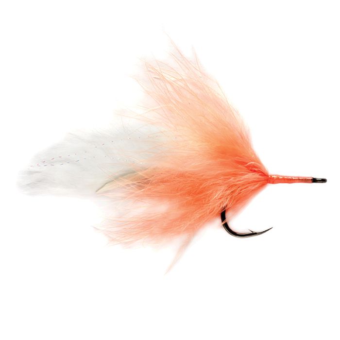 Kiss And Fly Bewertung Kiss And Fly Bewertung