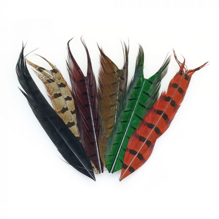 Veniard Ringneck Pheasant Tail Feathers, Mix Colors