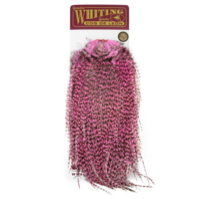 Whiting Coq De Leon Rooster Saddle, Bronze Grade, Fly Tying