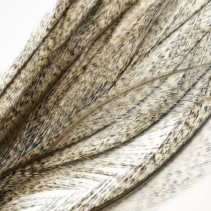 HABAGOU Cavo CPU Da 8 Pin A 8 E 4 4 Pin, Cavo Di Alimentazione CPU Maschio A Maschio Per Alimentatore Modulare Corsair Thermaltake Da 70 Cm 15 Cm