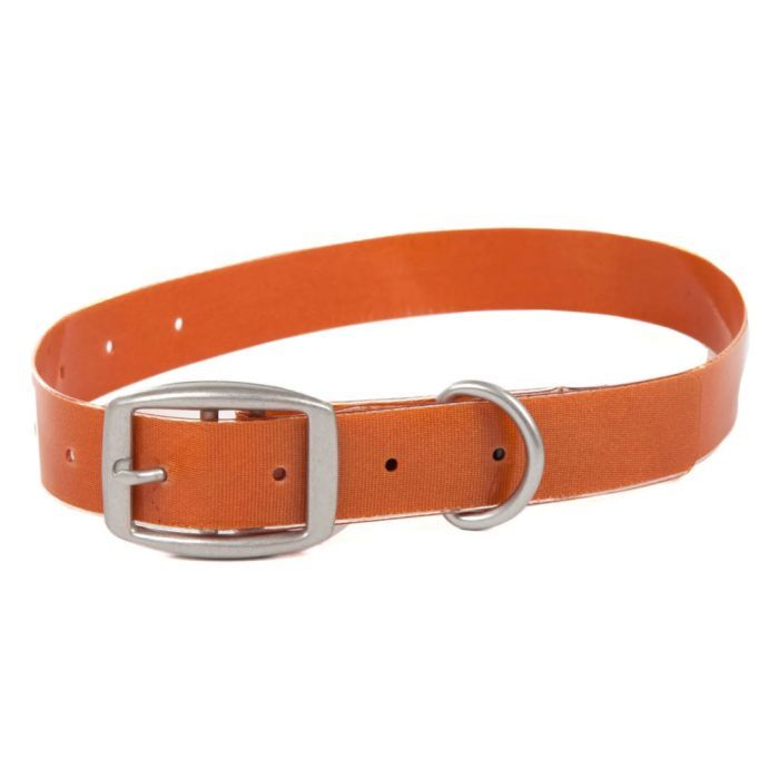 Fishpond Salty Dog Leash Hundehalsband, cutthroat orange, Fliegenfischen