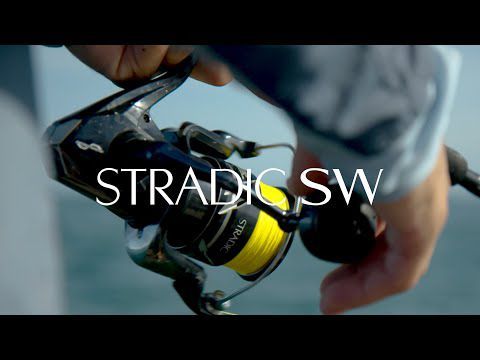 reel shimano stradic 6000 SW B XG Fishing Sports & Outdoors 3000 size 6.4 gear 7.9oz Shimano Stradic SW Spinning Reel,