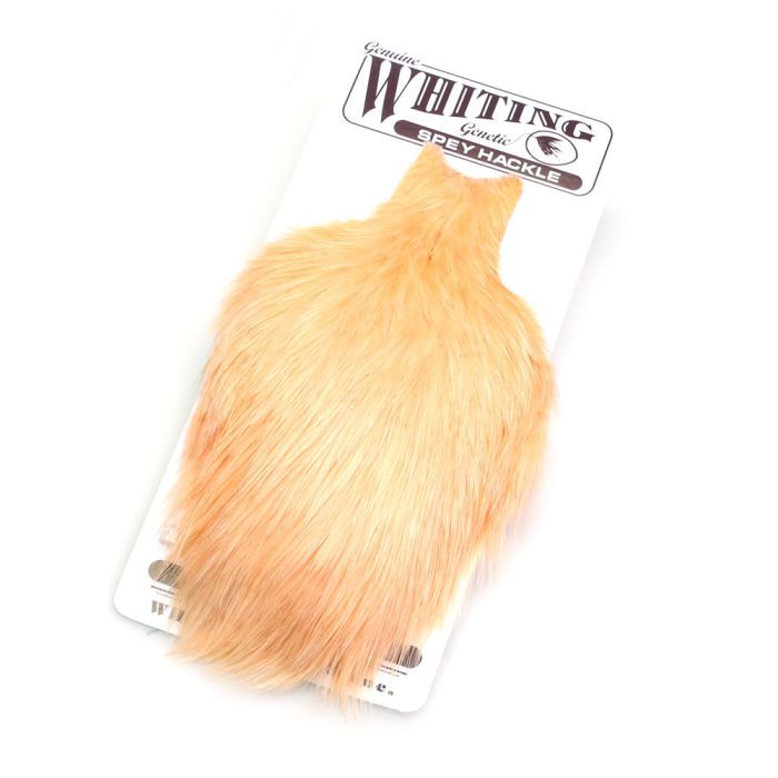 Whiting Spey Hen Cape