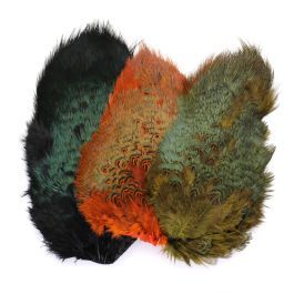 Cock Pheasant Rump Patch