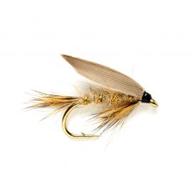 Gold Ribbed Hare's Ear