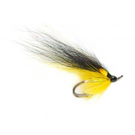 Posh Tosh - Salar Double