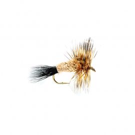 Irresistible Adams - Mosche Secche