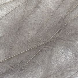 CDC Marc Petitjean Cul-De-Canard