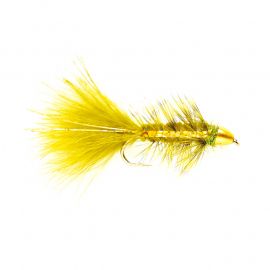 Golden Bullet, oliva