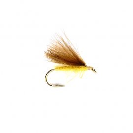CDC Fratnik, yellow