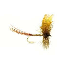 Mayfly Green Drake