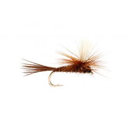 Parachute, Pheasant Tail