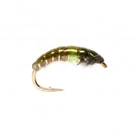 Czech Mate, Rhyacophila