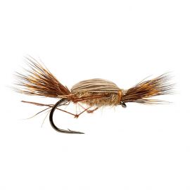 McPhail Comparadun Golden Olive