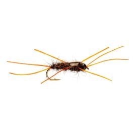 Nahaufnahme der Bassett's Stonefly Exponent Double Bead Nymphe (Größe 10) mit zwei Tungsten-Perlen und einem segmentierten Körper zur Nachahmung einer Steinfliege