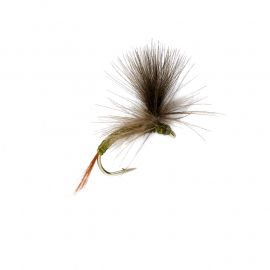 CDC Para Emerger, olive