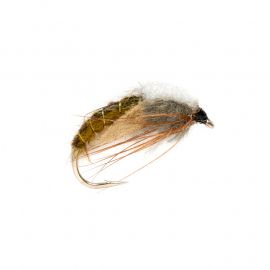 Hatching Sedge, olive