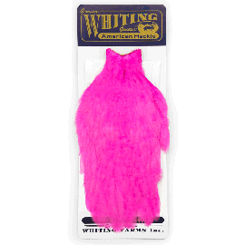Whiting American Hen Capes