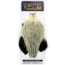 Whiting American Rooster Capes