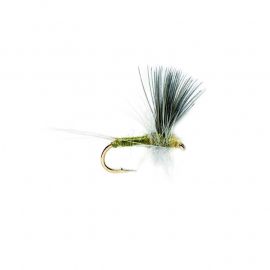 Blue Winged Olive Thorax BWO