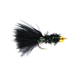 Cactus Fly, black