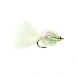 Cactus Fly, white