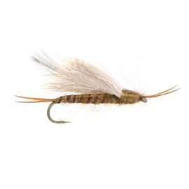 CDC Stonefly