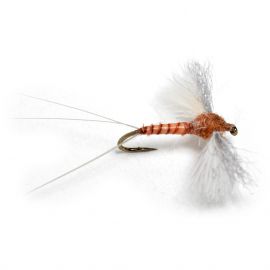 Guideline CDC Biot Spinner, rusty