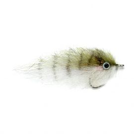 Enrico Puglisi Pinfish