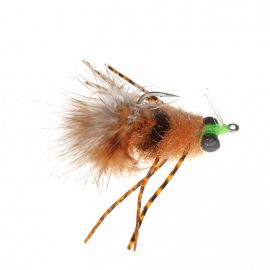 Enrico Puglisi Yucatan Crab