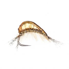 Epoxy Freshwater Shrimp, tan