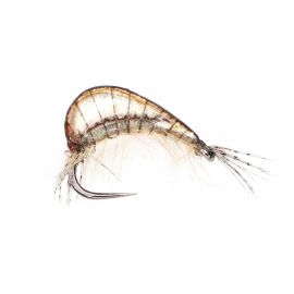 Epoxy Freshwater Shrimp, grey