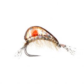 Epoxy Bachflohkrebs, infected