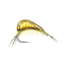 Epoxy Freshwater Shrimp, olive