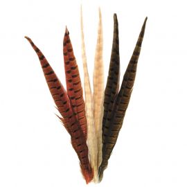 Ringneck Pheseant Tail Feathers, dyed