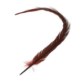 Ringneck Pheasant Tail Feathers, bleached