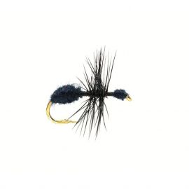 FM Ant Black