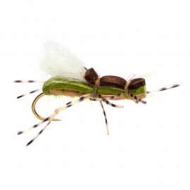 Fulling Mill Gordo Alberto Olive