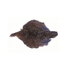 Veniard Grouse Complete Body Skin