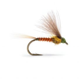 Guideline Cdc Biot Dun Emerger, BWO