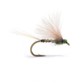 Guideline Cdc Biot Dun Emerger, dk. olive
